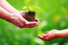 Sống thiện lành và chánh niệm: Gieo nhân tốt, gặt quả lành về lâu dài